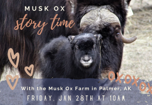 Musk Ox Story Time @ Custer County Library